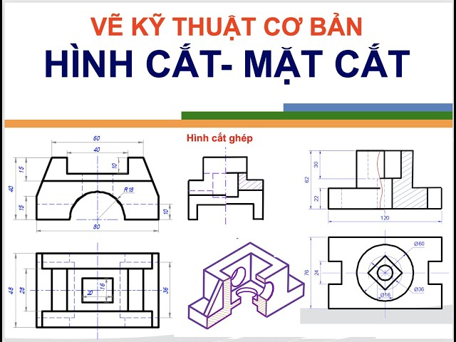 Bật mí Các Loại Hình Cắt Cơ Bản