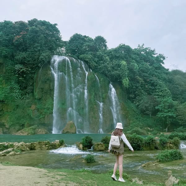 485403000 1106479354833997 5869717229252734478 N