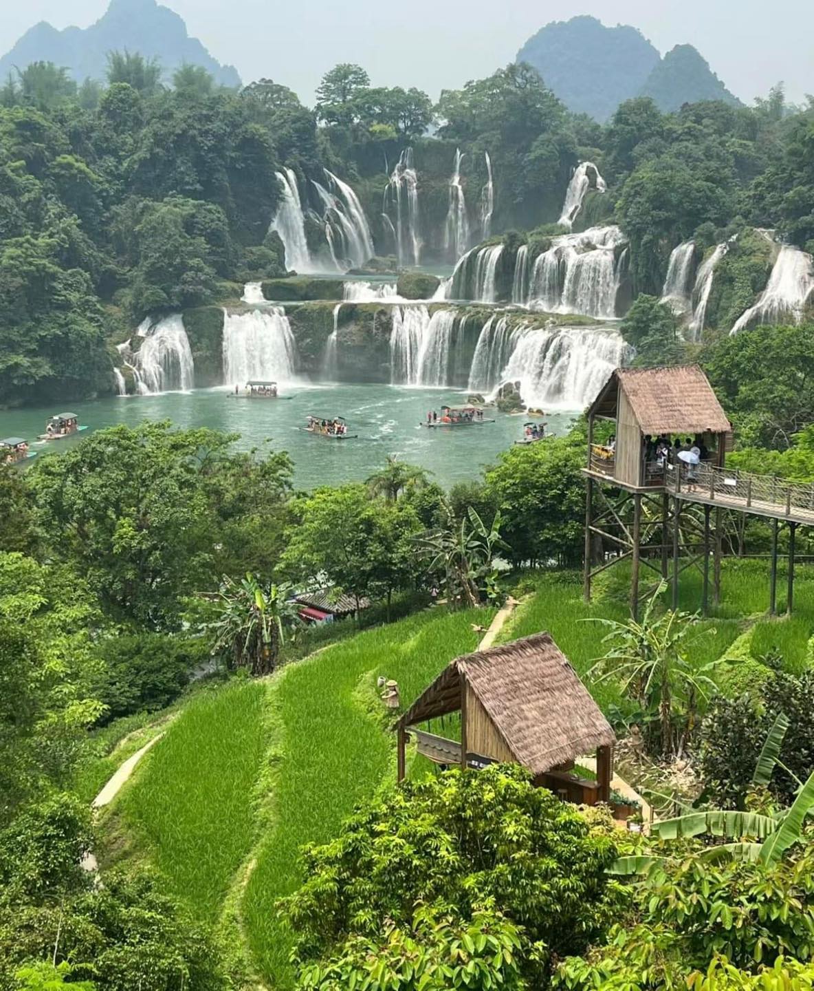 487876747 1115521287263137 2207105854641230665 N