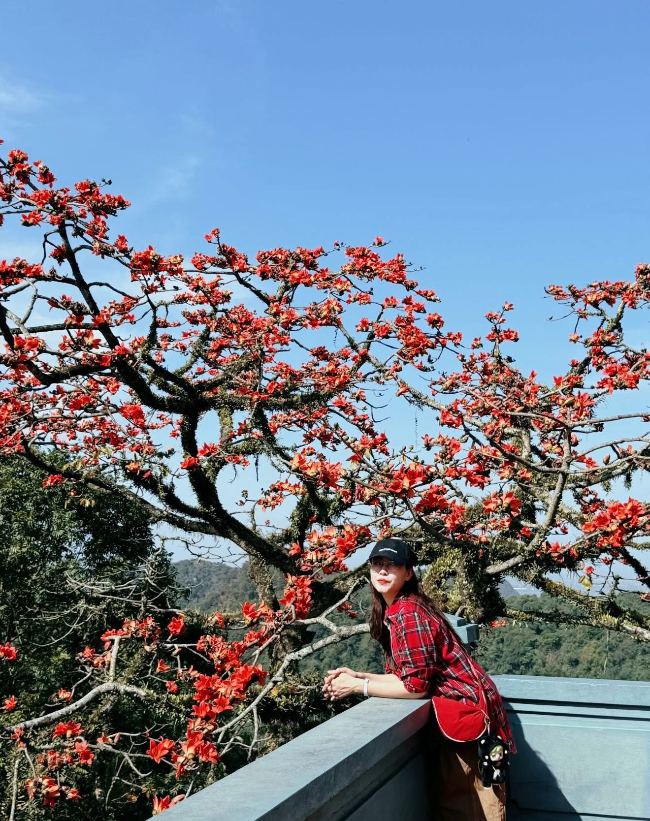 495457147 1294530246009256 2771571179137303163 N