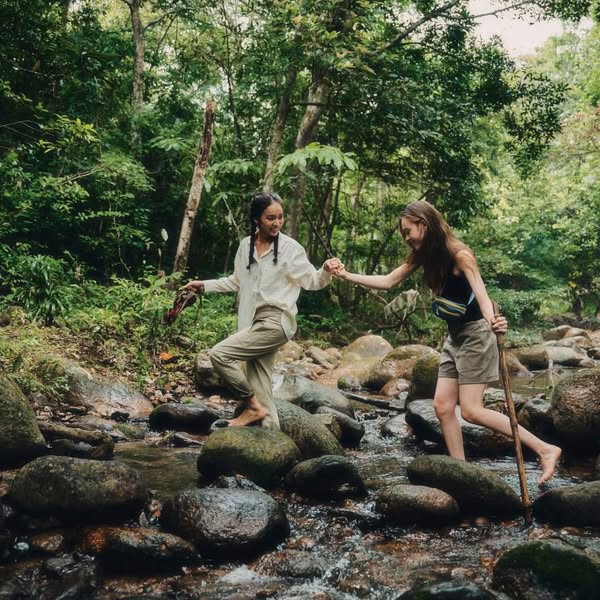 547505039 4214047432148304 8346246300000615506 N