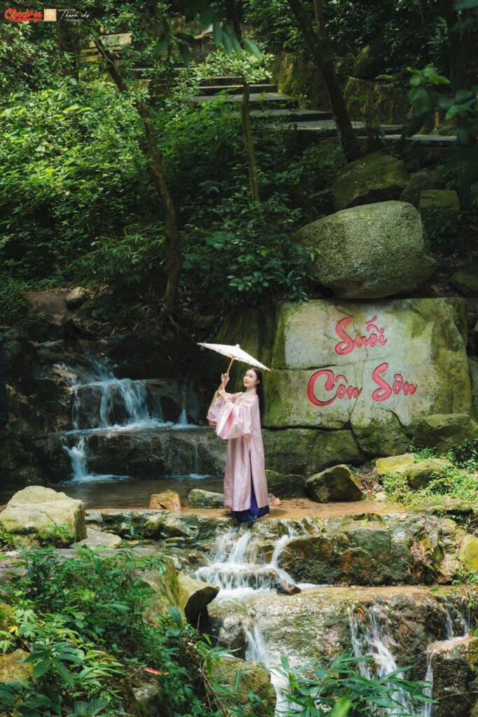 556097510 1347379090519096 6602181752416849713 N