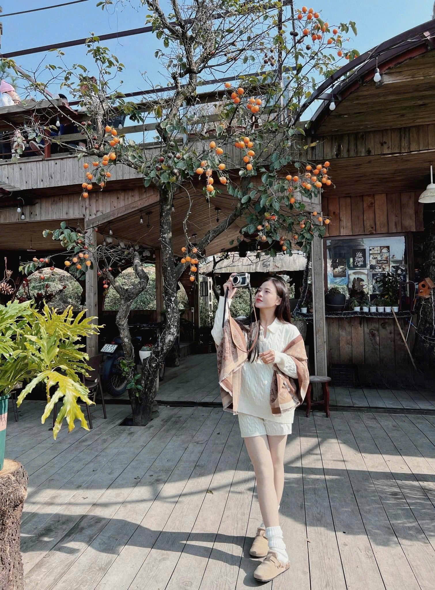 509703181 122194794680045675 9776415585899 N