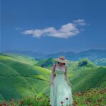 539442200 2612761725743873 1643496580828515119 N