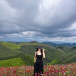 539944443 122186098352321036 5120363067874901498 N