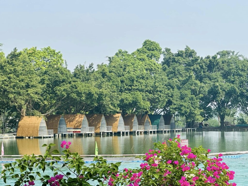 560922552 1252798630208245 1732348974954443649 N