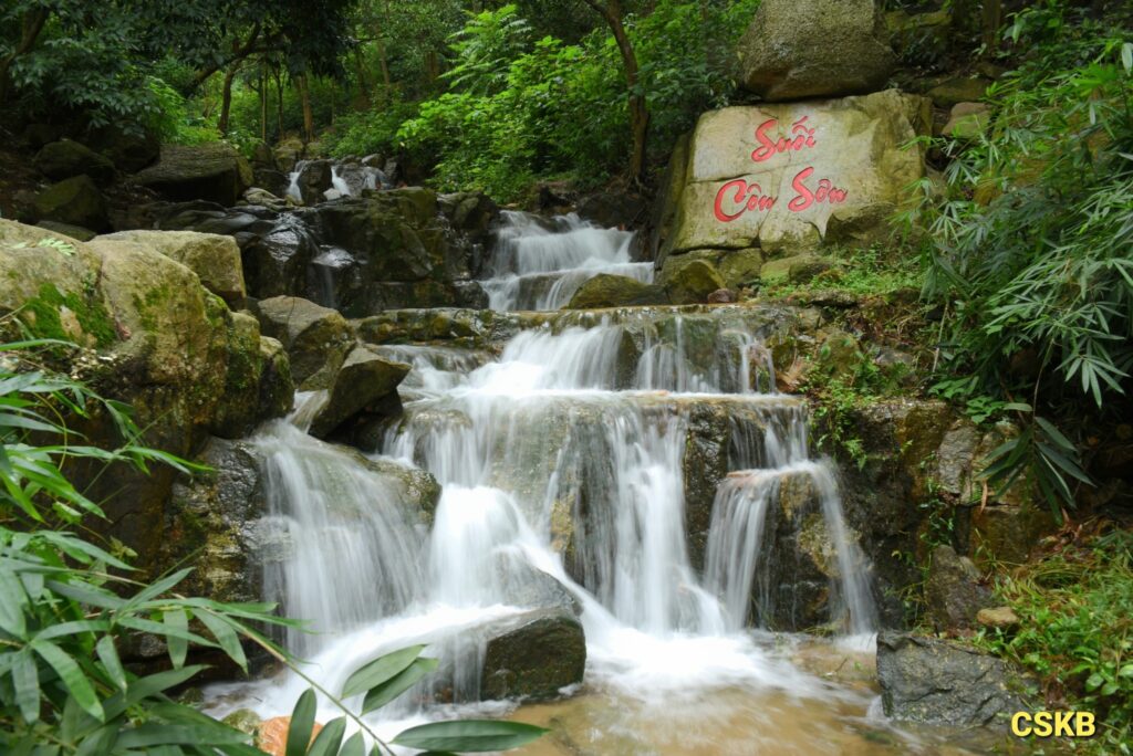 524127992 122159786642488071 6801590027774941569 N