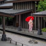 497704477 1175571294366847 2770790803114648439 N