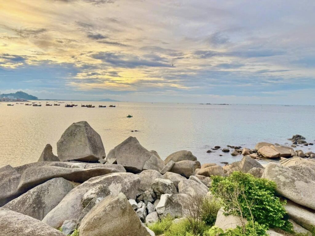 515568666 30184294144548416 9121394572221883657 N