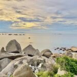 515568666 30184294144548416 9121394572221883657 N