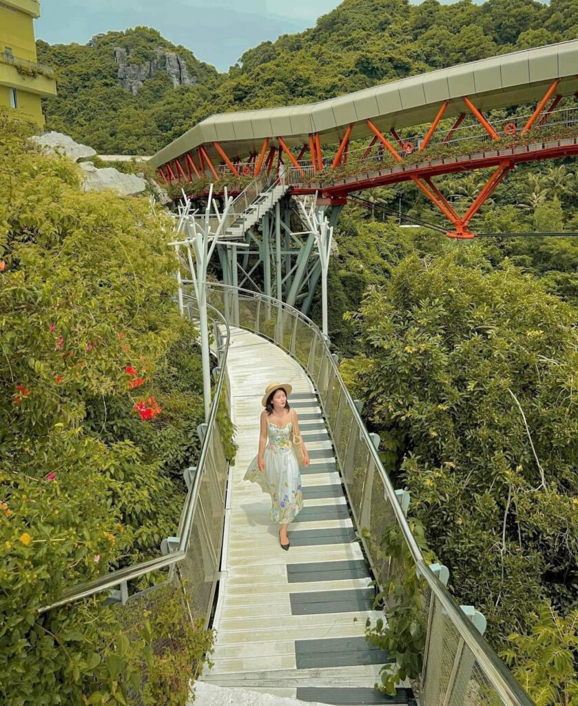 518305108 1205561558259109 3314148285987380719 N